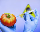 10 najbardziej szkodliwych produktów spożywczych odżywianie produkty spożywcze szkodliwe produkty spożywcze zdrowie 