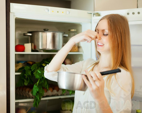 Fotolia_Lodowka_3