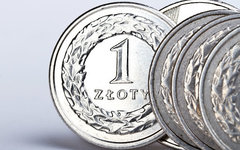 euro euro - wejść czy nie wejść Europa Media polityka Polska Polska w Europie rynek strefa euro 